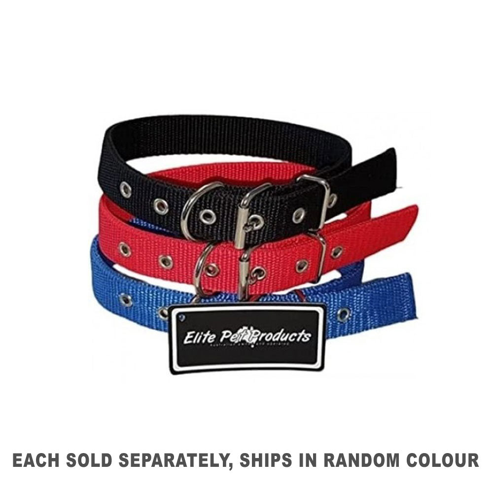 DROVERウェビングカラー30mm(1pcランダム)