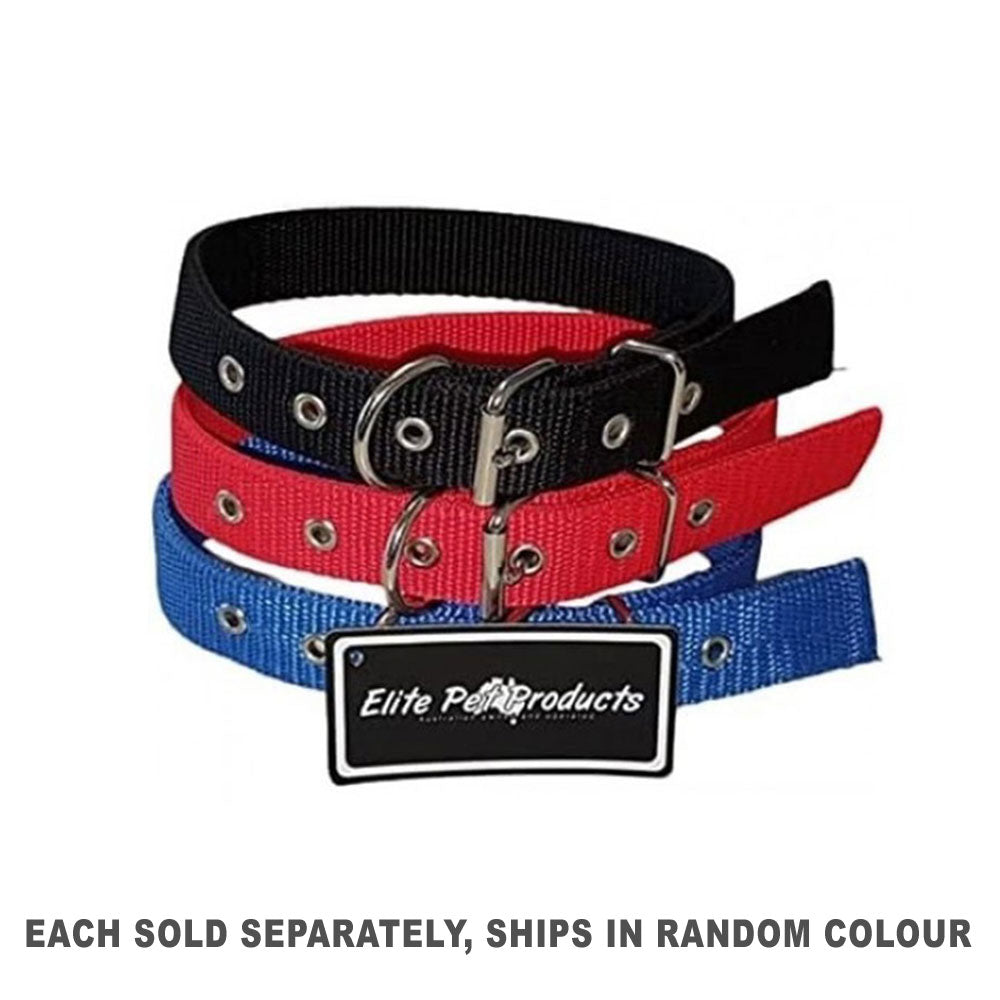 DROVERウェビングカラー30mm(1pcランダム)