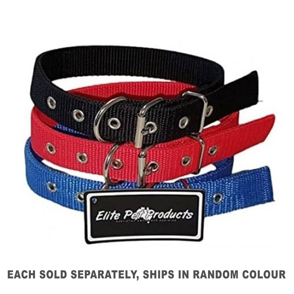 DROVERウェビングカラー30mm(1pcランダム)