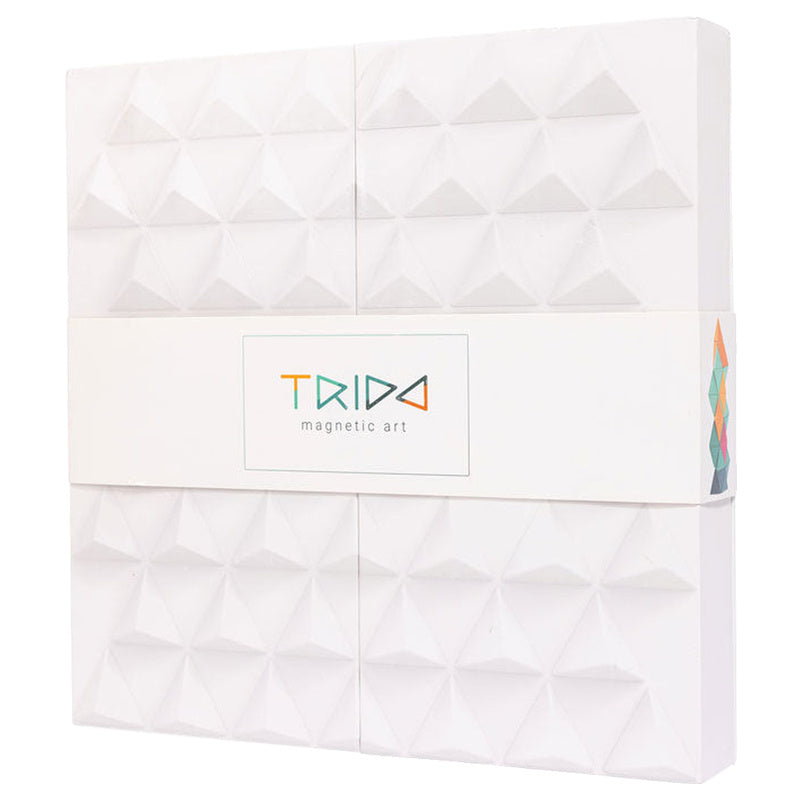 Trido Laguna Magnetic Construction Kit