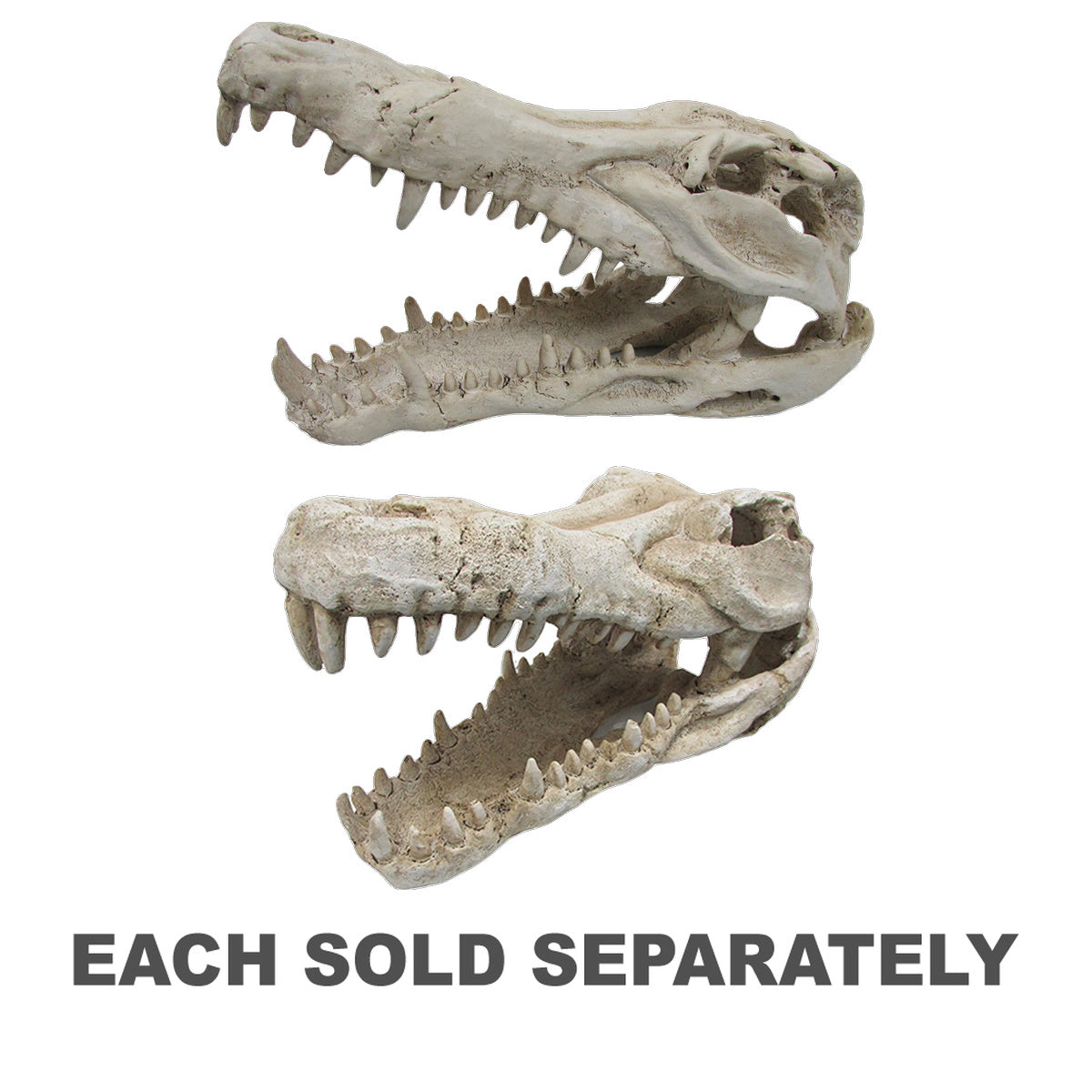 iPetz Croc Skull Reptile Accessory