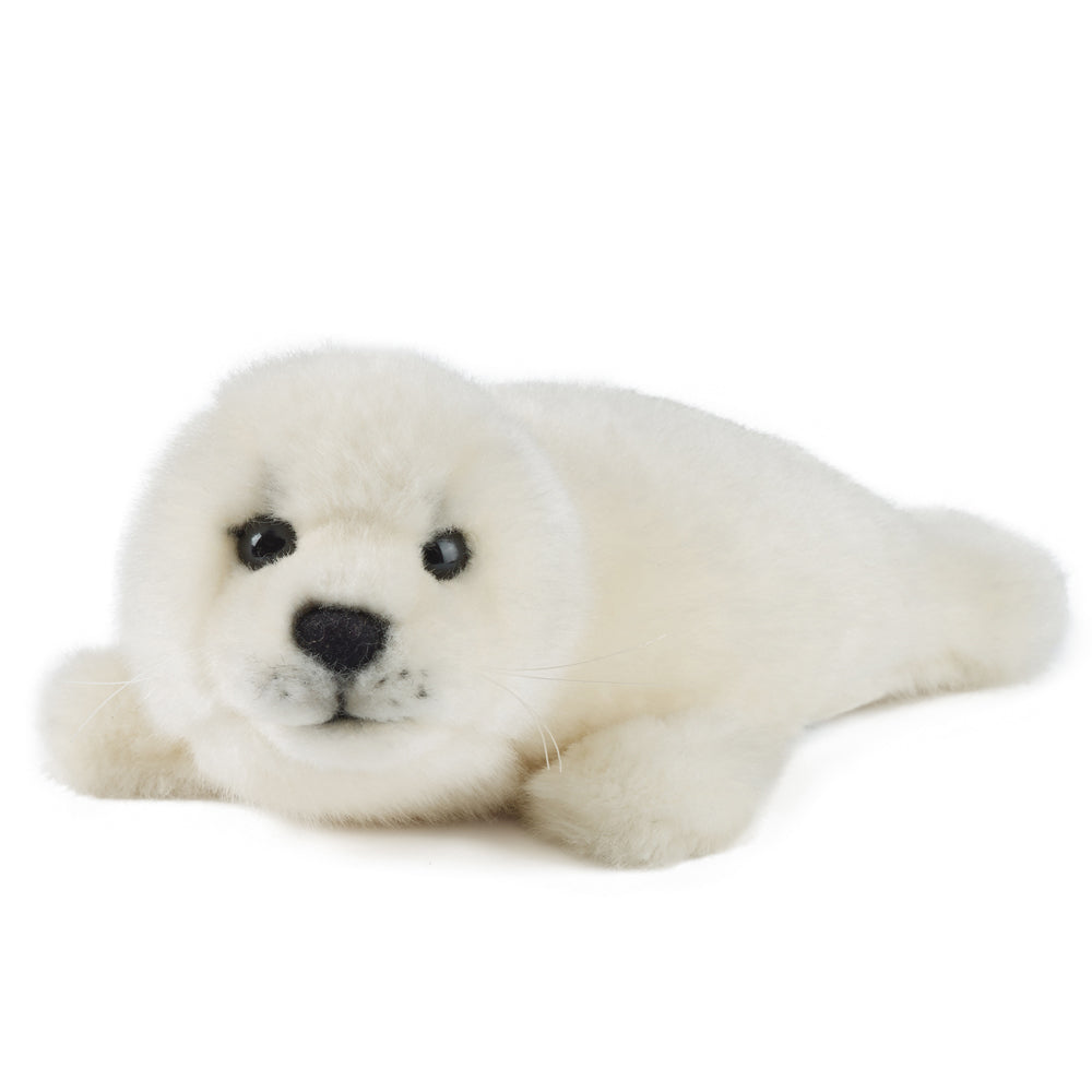 Living Nature Grey Seal Pup